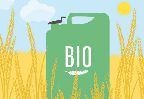 UNI EN 16214-3 2018 Produzione di biocarburanti e bioliquidi per applicazioni energetiche