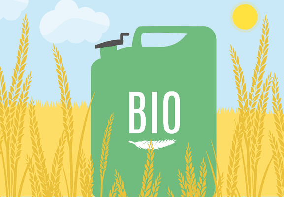 UNI EN 16214-3 2018 .Criteri di sostenibilità per la produzione di biocarburanti e bioliquidi per applicazioni energetiche
