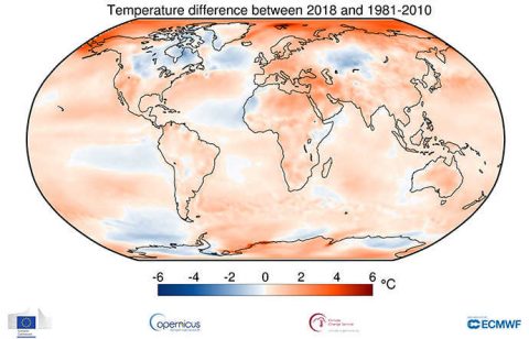 ECMWF: gli ultimi quattro anni sono stati i quattro più caldi mai registrati