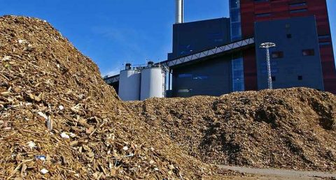 FIPER: biomassa indispensabile per PNIEC