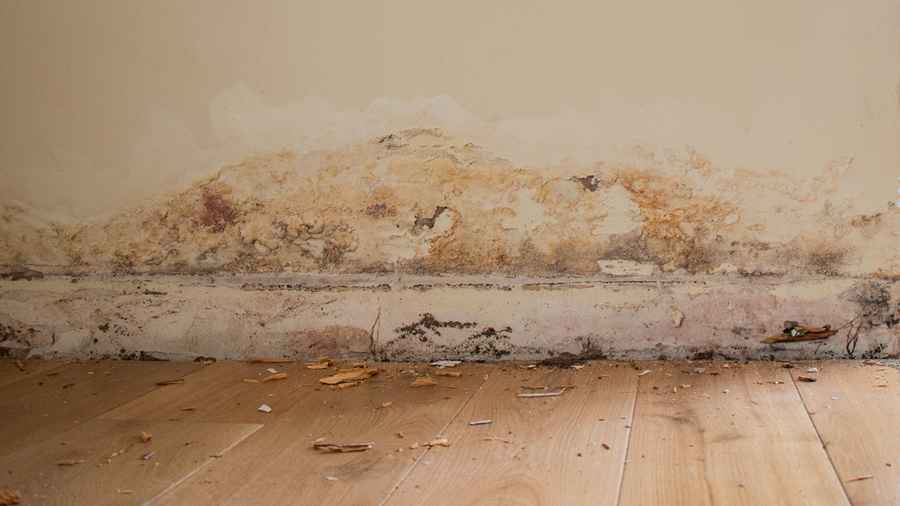 Manuale ANIT – Risanamento termico di murature umide e degradate